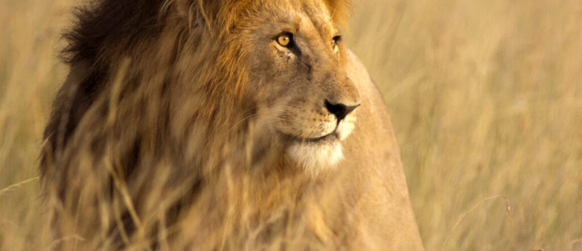 SouthAfrica2-square